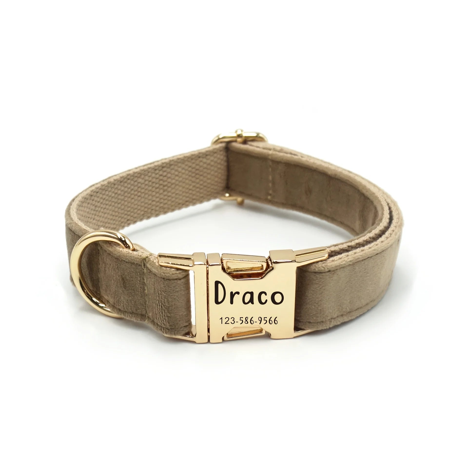 Collier chien en velours doublé, gravure nom + téléphone - Onyxe®